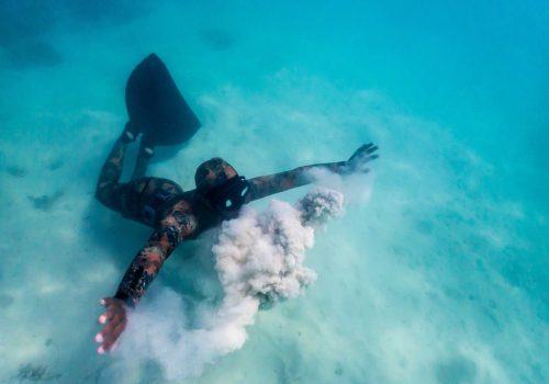 Cours PADI De Plongée En Apnée A Zanzibar