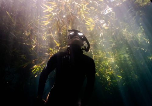 PADI Freediving Course Zanzibar