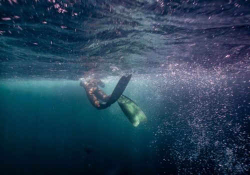 Cours PADI De Plongée En Apnée Zanzibar